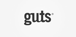 服务器攻击软件